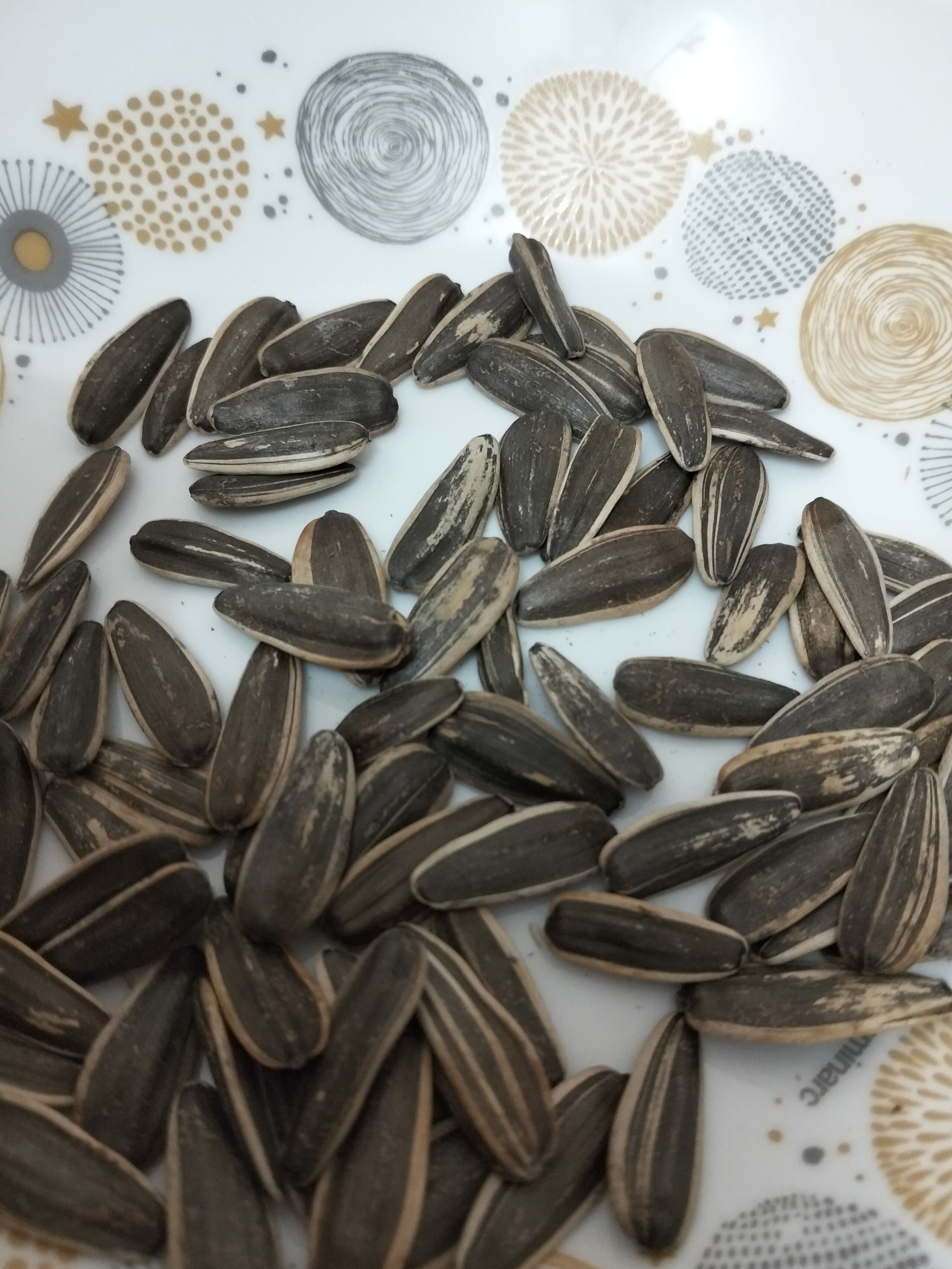 Эскорт Аленка стройная сделает нежно куннилингус и примет у себя