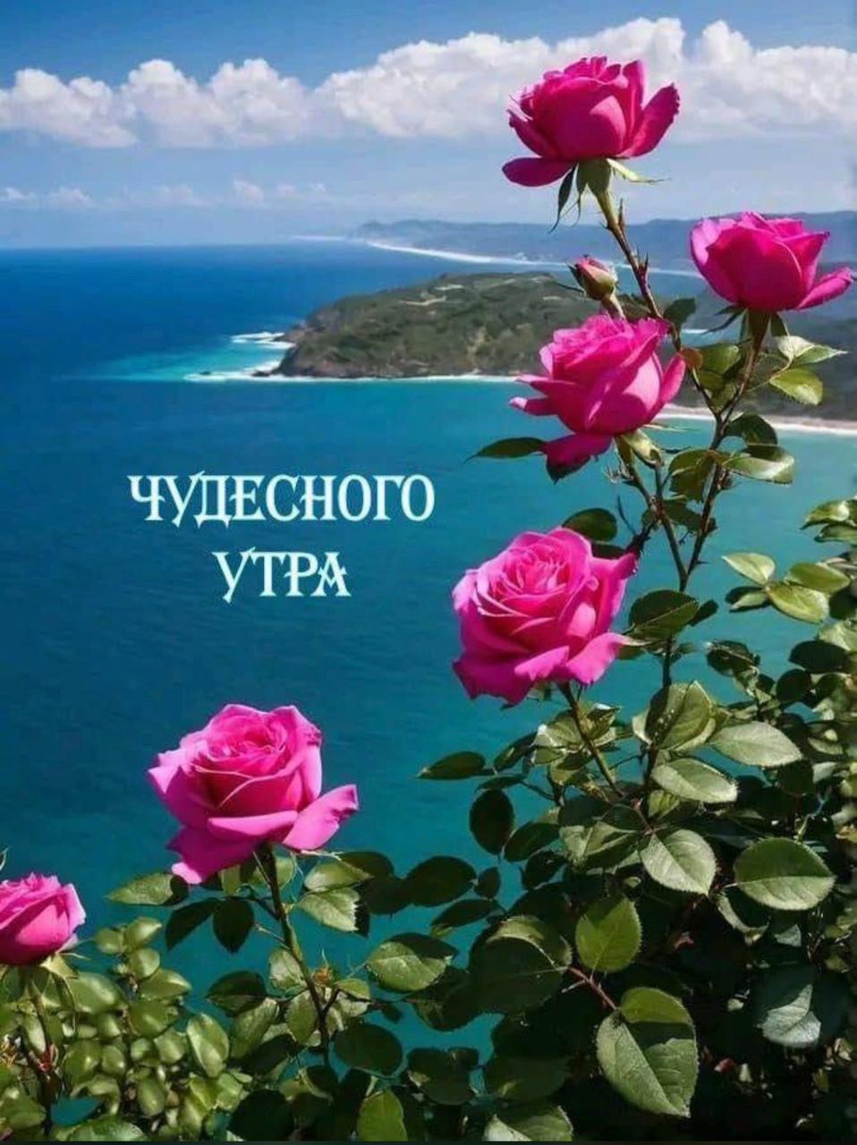 Путана Изюминка 40 лет подарит минет без резинки и пригласит к себе